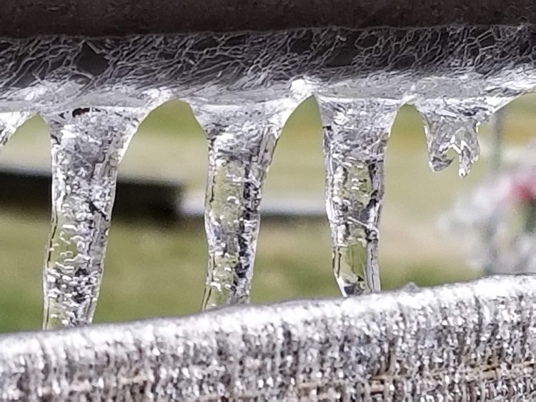 Frozen