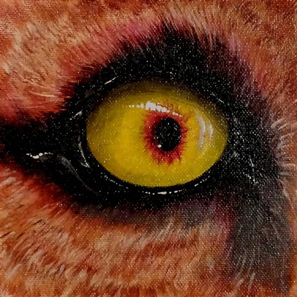 Eye Of The Lion 2