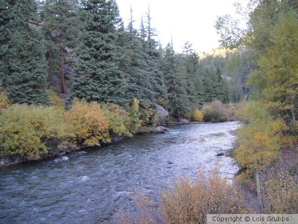 Fall Foilage Sept 2011 My camera 025
