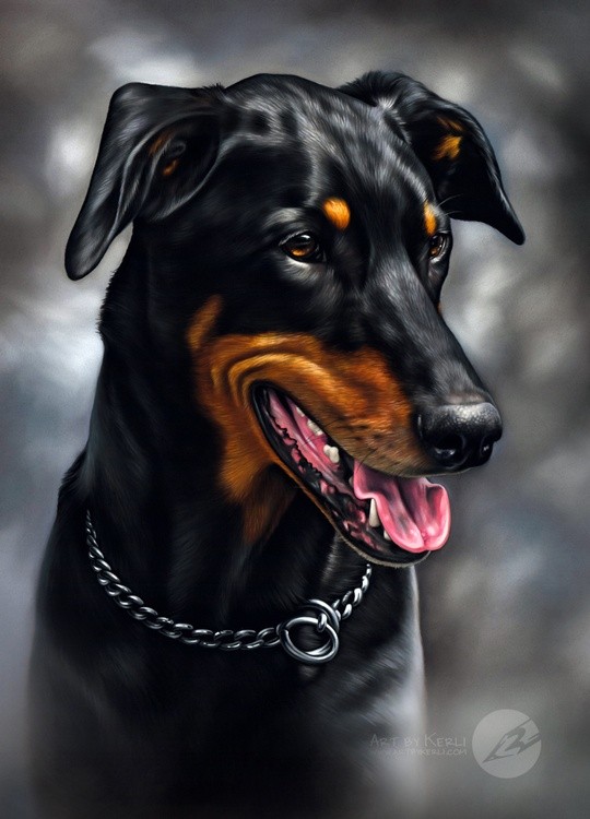 Oz