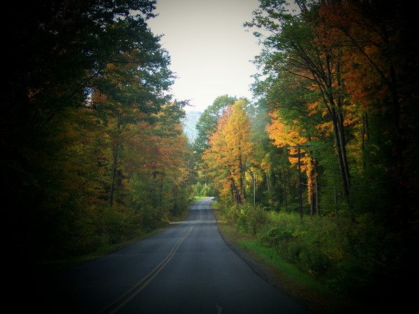 Sunday Drive