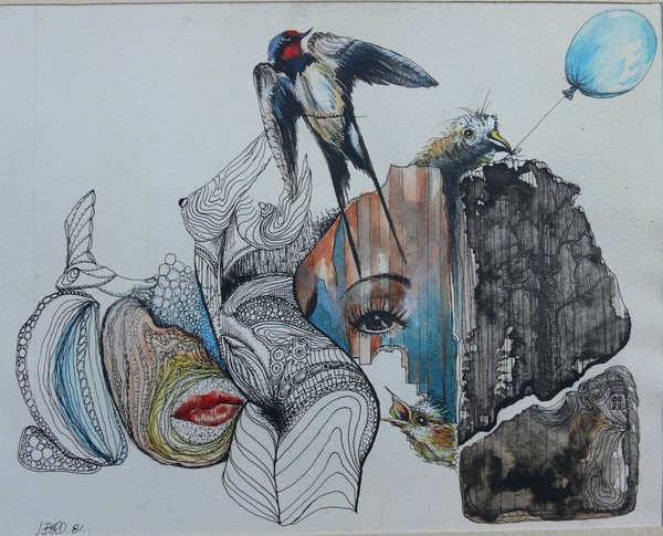 swallow