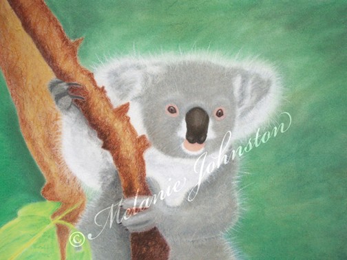 G'day Mate