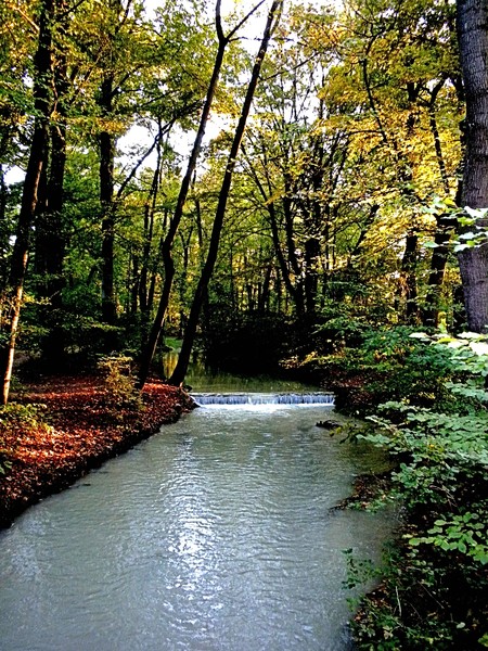 Serenity in autumn