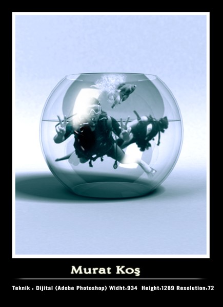 Diver