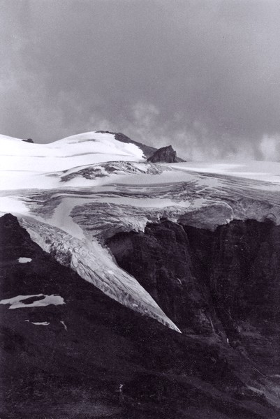 Mt. Robson