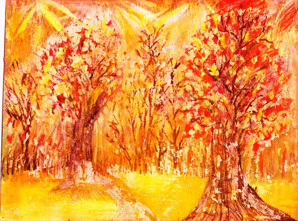 Forest Vivid Vision