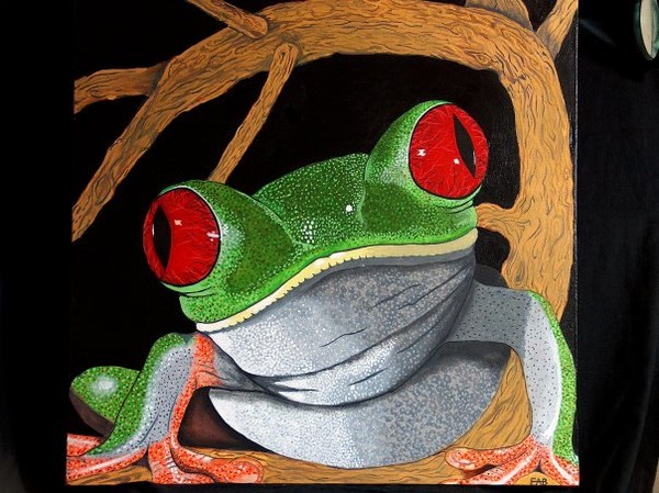 red eye tree frog
