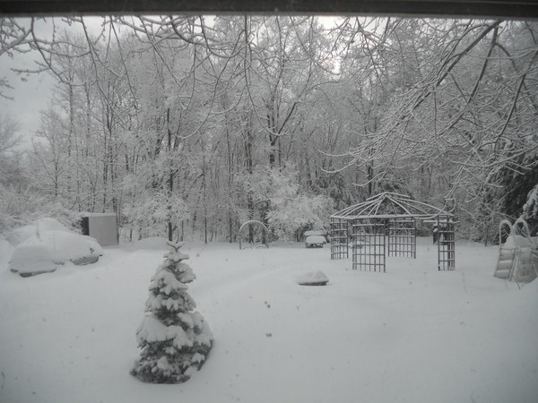 latest storm,over a foot