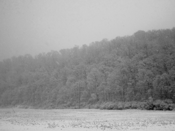 DSC00339