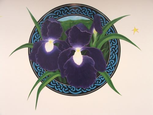 IRIS