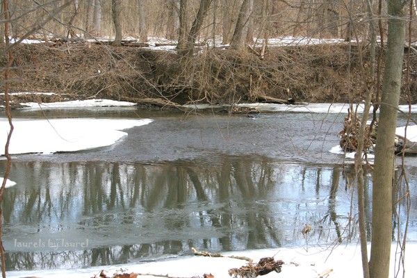 Icy Stream Reflections