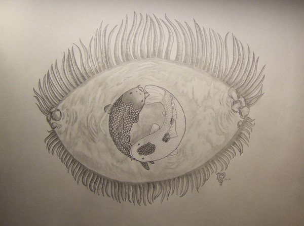 Fish eye