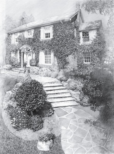 PENCIL DRAWING - Calvin  La Combe