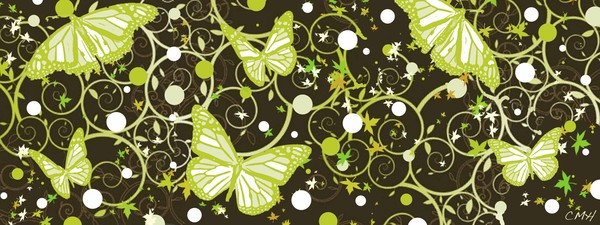butterflys