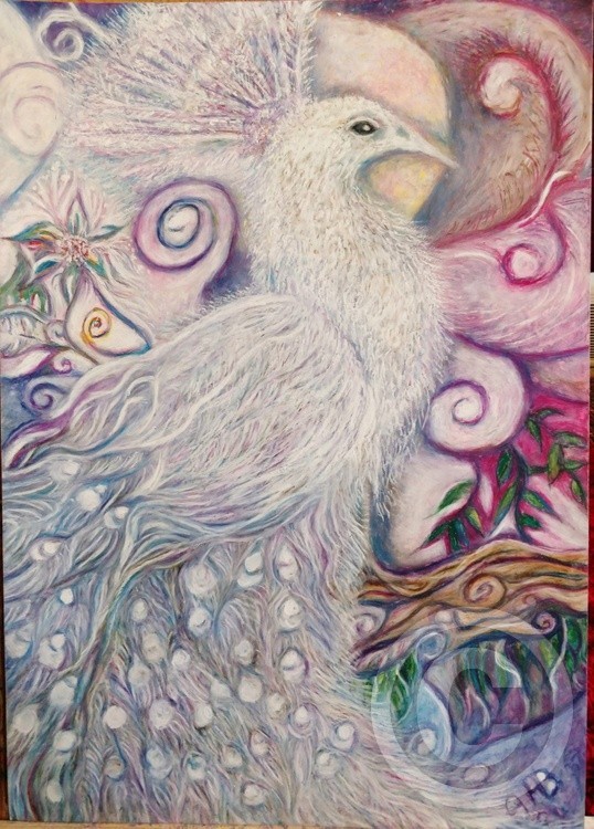 for Myanmar, White Peacock of peace, oil pastel