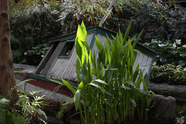 boat house in water