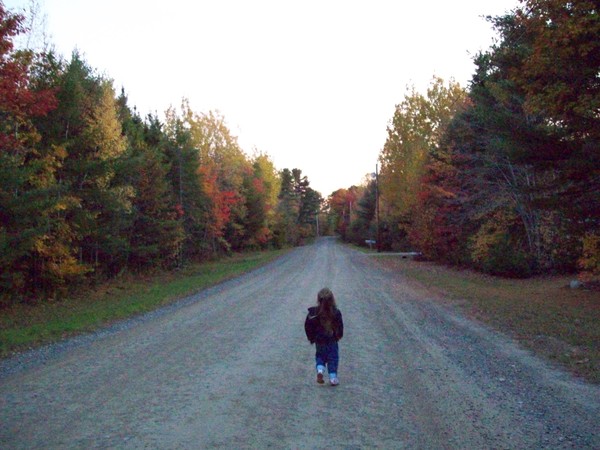 Autumn Road