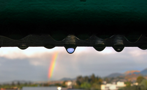Apres La Pluie