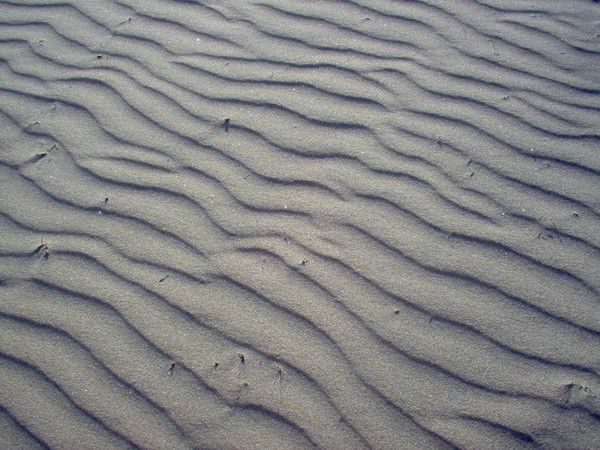 Sand Ripples