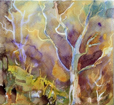 Forest Of Lovely Trees