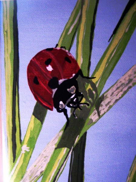 Ladybug