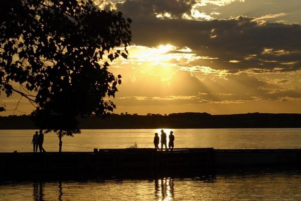 Silhouettes of Nature