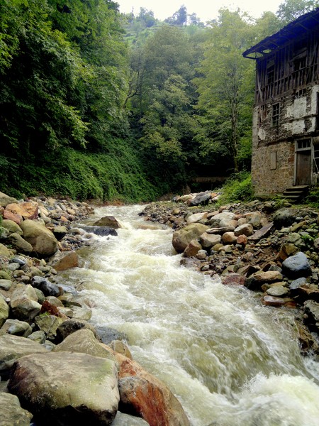 abandoned house by the stream