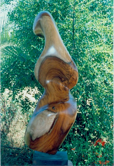 P8110053