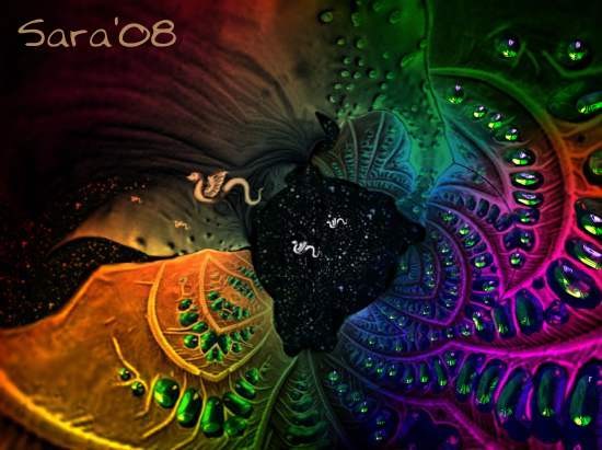 Migration 2