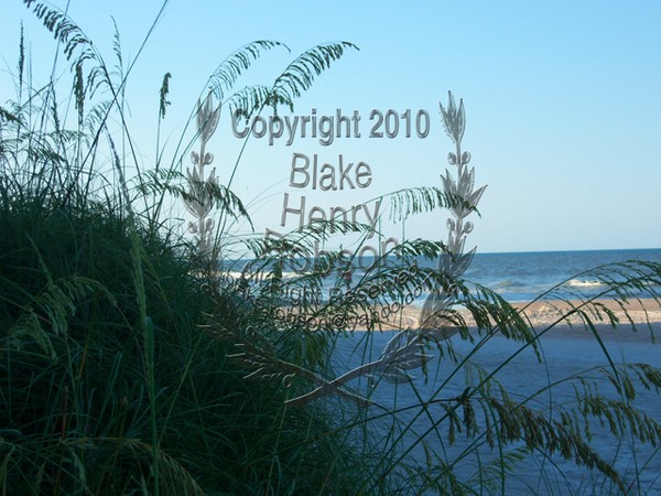 Sea Oats Daytona Beach Shores