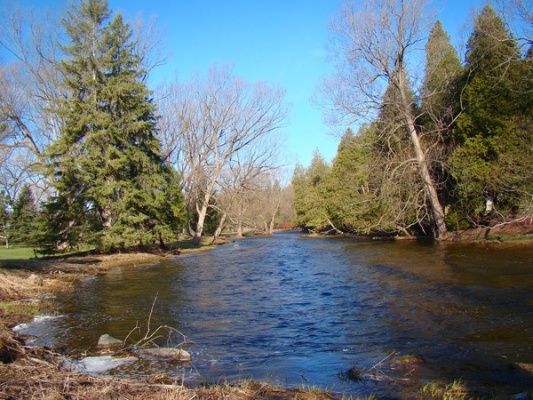 Lowville Creek