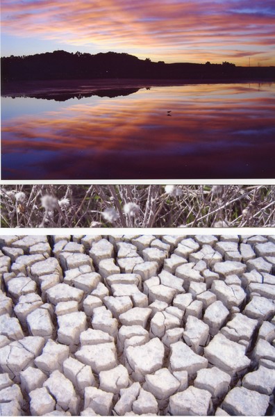 lake - reeds - earth