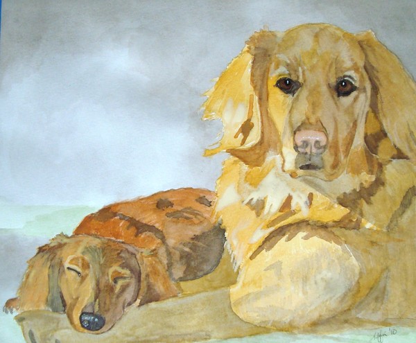dog napping