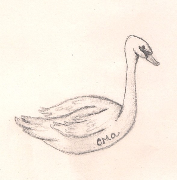 Swan