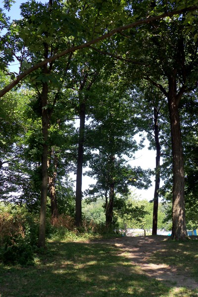 Mount Royal - Beaver Lake - Aug 4, 2012