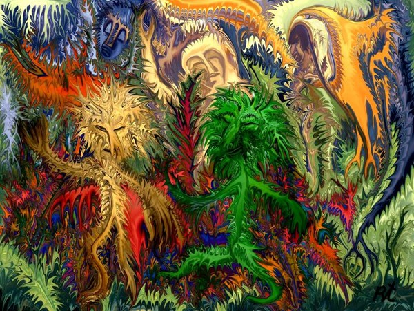 the trip