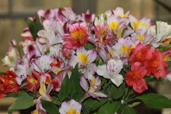 20120302 14