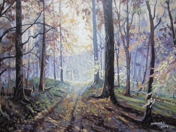 Path In The Woods