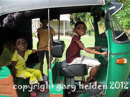 Young Tuk Tuk Driver of Bentota