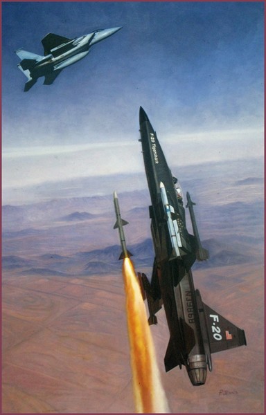 jet fighters