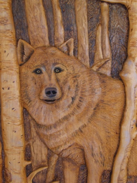 wolf door close up
