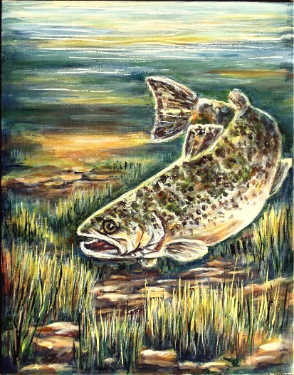 German Brown trout