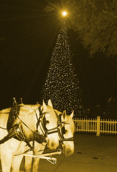 Sleigh Bells Ring