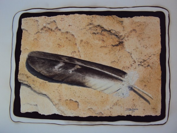 Feather Study