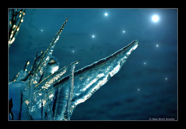 Lights
