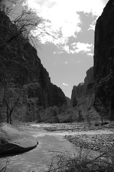 Black and White Zion Canyon