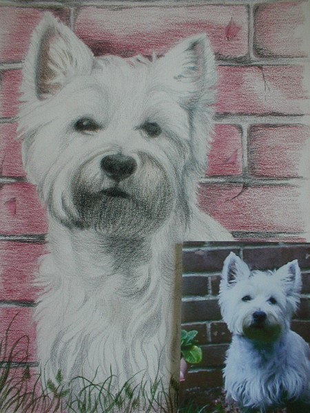 The Scottie.