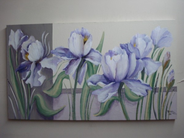 Iris