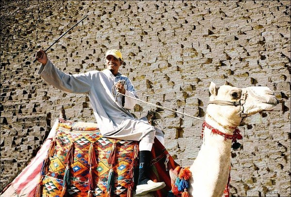 Camel Rider